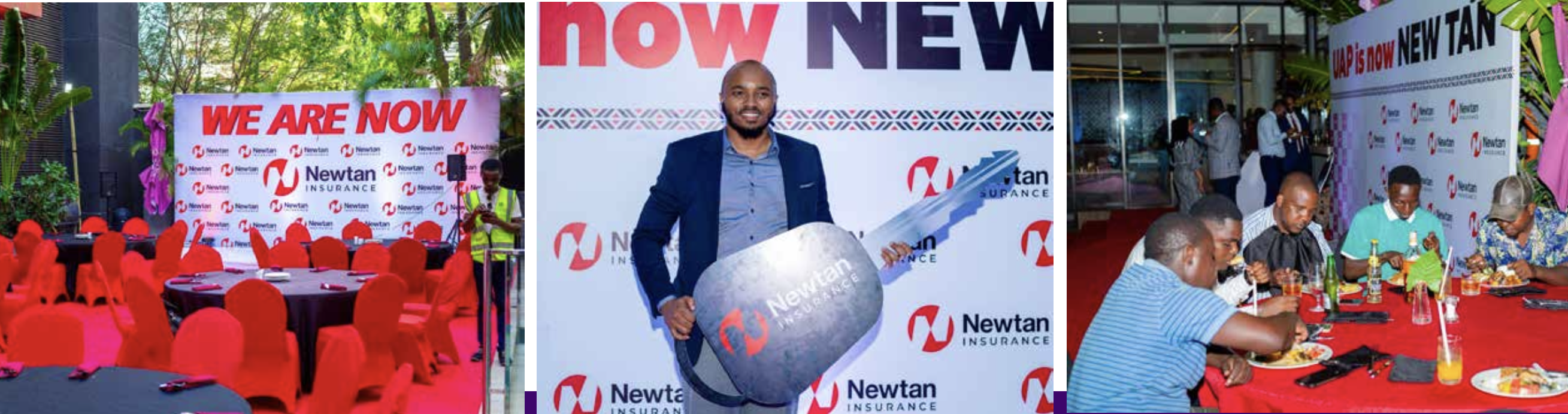 Newtan Insurance Project Image