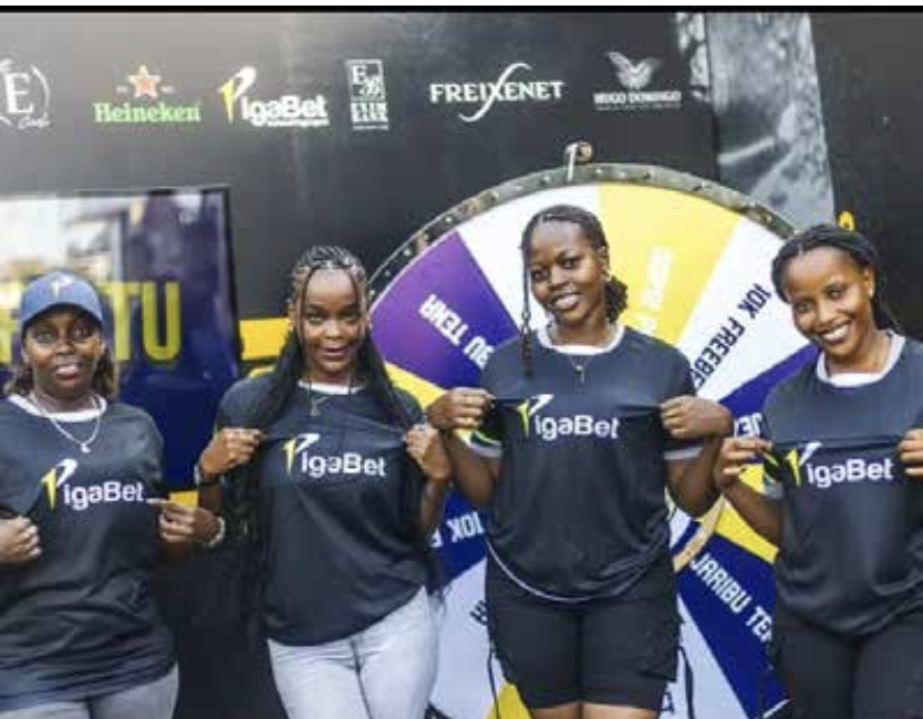 PIGABET Project Image