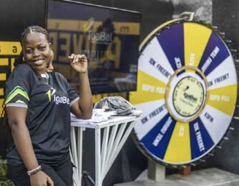 PIGABET Project Image